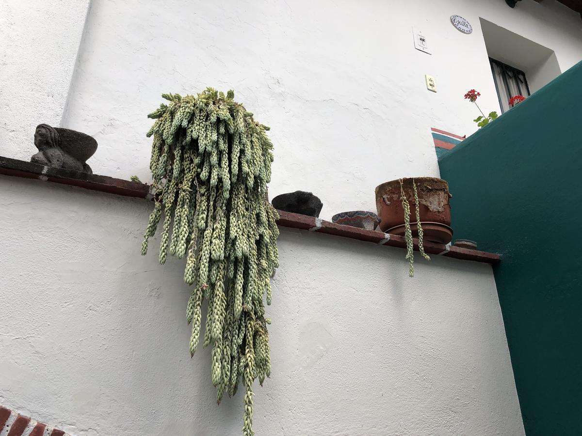 Meson Del Penasco Appartement *